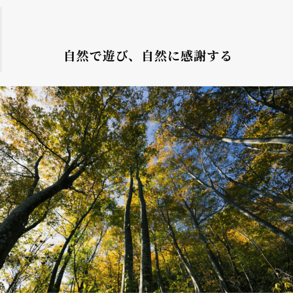 グローブハンガー 楓曲 (FUKYOKU)