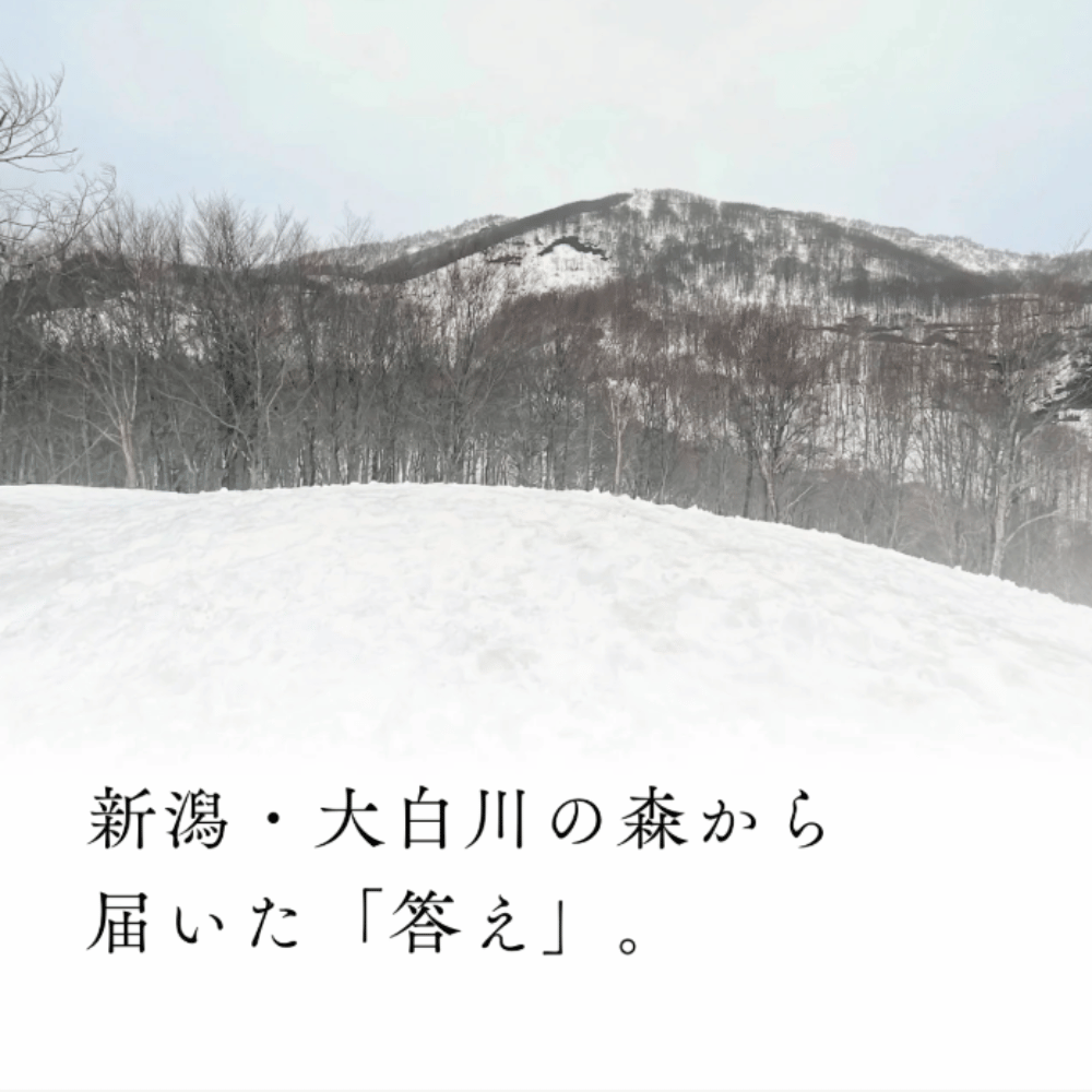グローブハンガー 楓曲 (FUKYOKU)